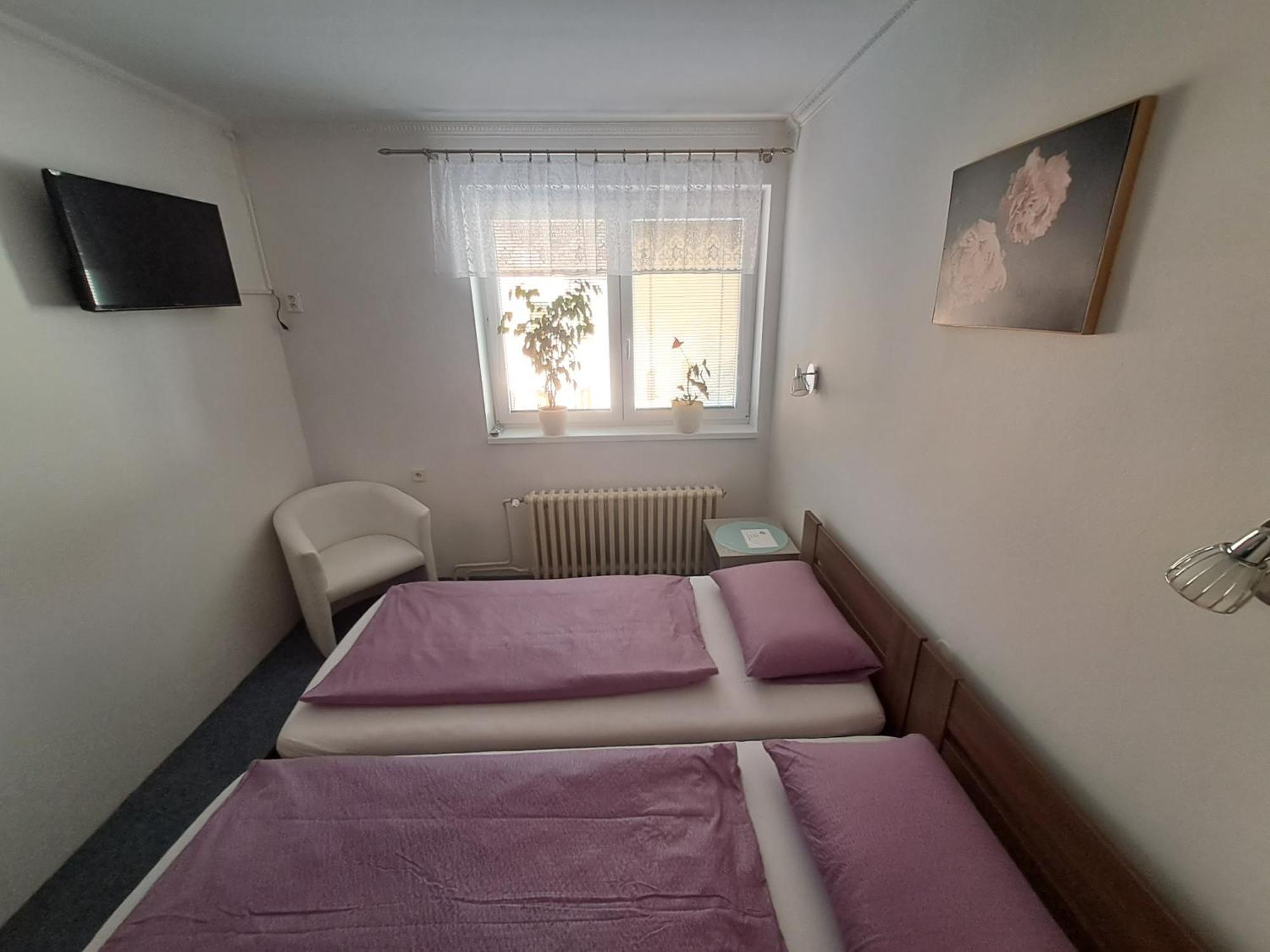 Pension Dana Karaskova Daire Kutná Hora Dış mekan fotoğraf